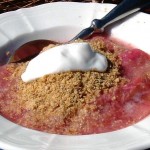 golden linseed and rhubarb cOMPOTE c