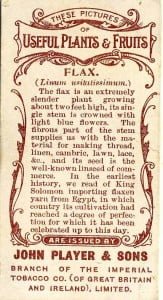 Flax. Back of Players cigarette card