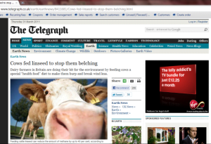daily-telegraph-crow-belch